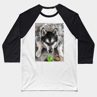 Playful Husky Dog With Toys Baseball T-Shirt